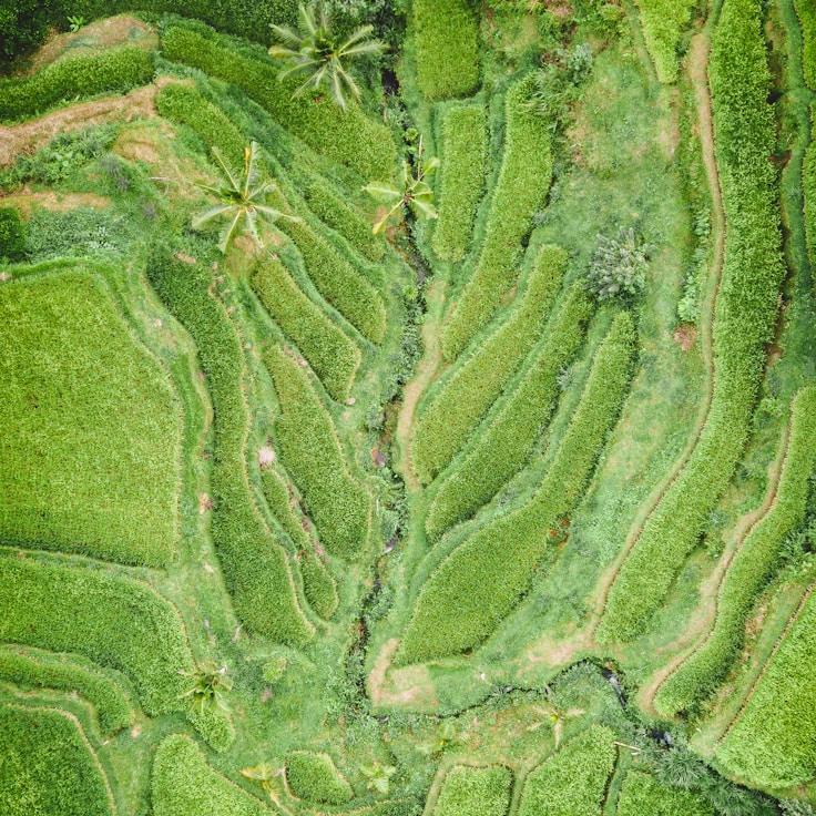 Kids playground area in Switzerland
